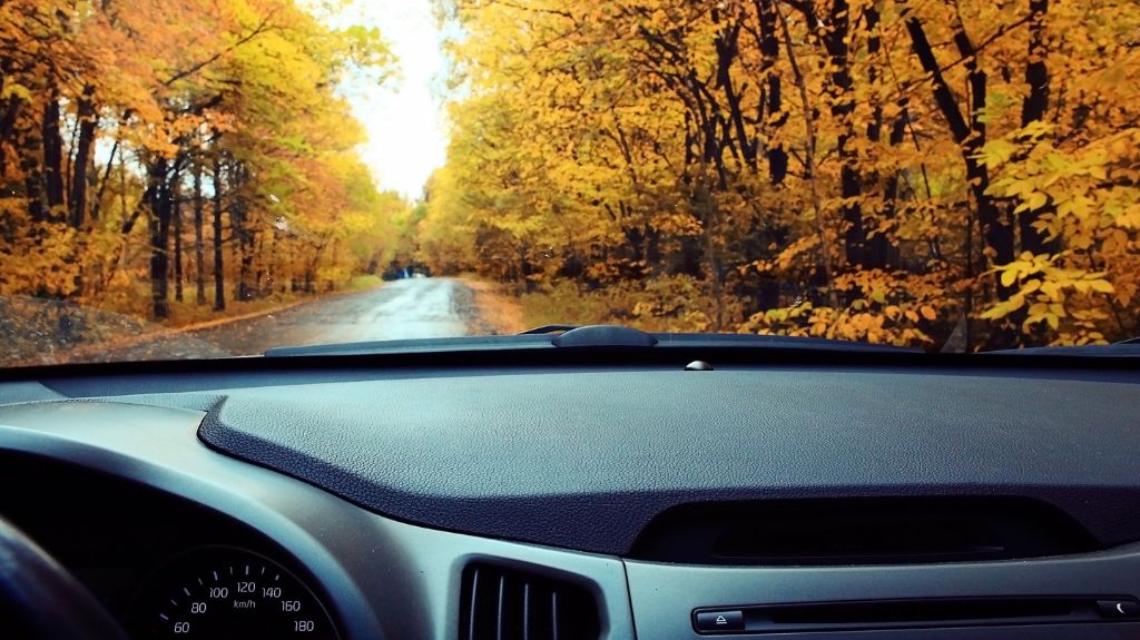 Why Car Accidents Happen in the Fall (and Tips to Avoid Them)