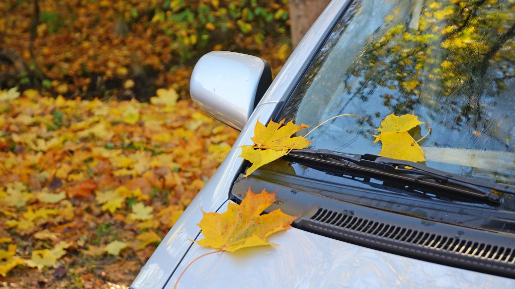How Fall Elements Affect Your Cars Exterior